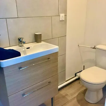 Immeuble Privatise T8 Terrasse פלורי
